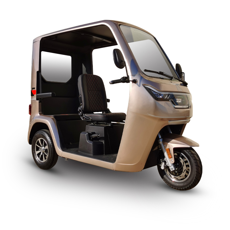 China Factory directly supply Electric Tricycle For Disabled Electric Passenger Tricycles YJ Zongshen factory and suppliers Huaihai Holding Group